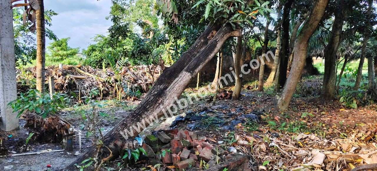 পাণ্ডুয়া সারদাপল্লী বাড়ি করার জন্য 3.5 কাঠা জায়গা বিক্রি আছে