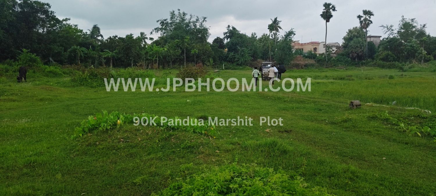 𝗢𝗻𝗹𝘆 𝟭 𝗸𝗮𝘁𝘁𝗵𝗮 𝗟𝗮𝗻𝗱 𝗦𝗮𝗹𝗲 𝟵𝟬𝗸 𝗛𝗼𝗼𝗴𝗵𝗹𝘆 𝗣𝗮𝗻𝗱𝘂𝗮 ।। পাণ্ডুয়া ১কাঠা জায়গা দাম মাত্র ৯০ হাজার টাকায়।।